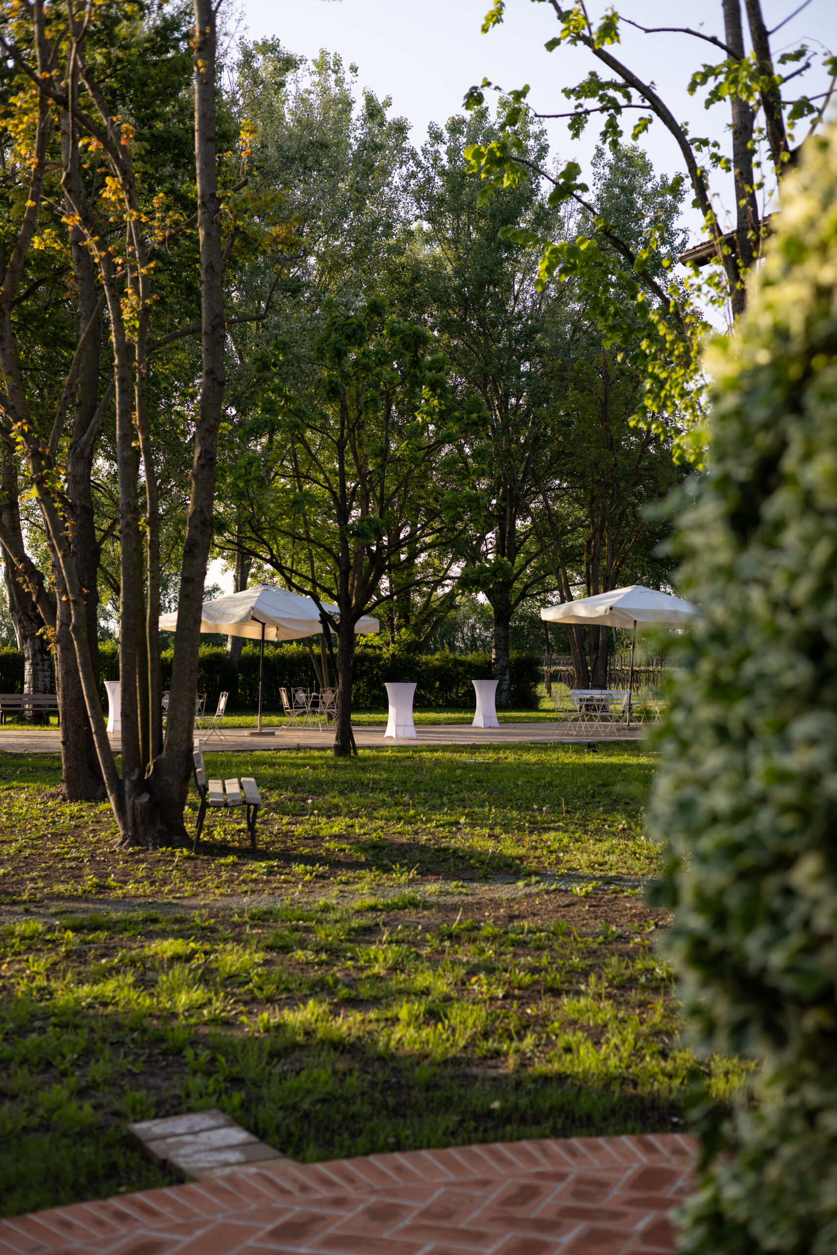 PORTICO_50